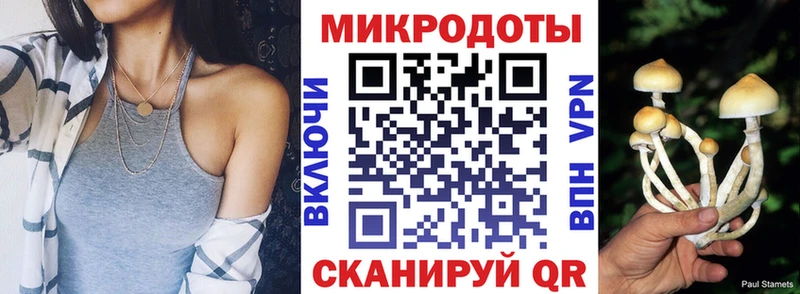 Галлюциногенные грибы Psilocybe Кубинка